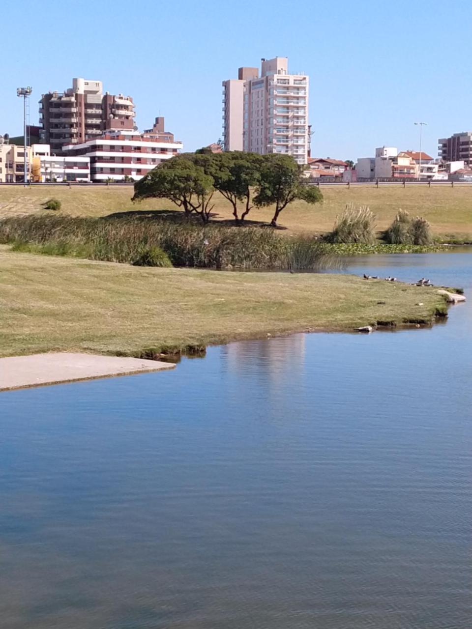 Edificio Juana Del Mar Lägenhet Mar del Plata Exteriör bild